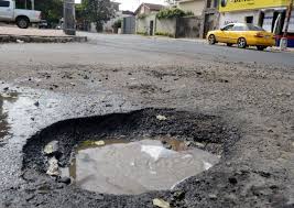 bache.jpeg